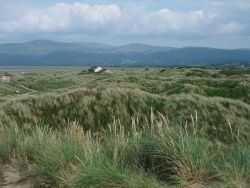 Ynyslas dunes and Visitor Centre