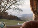 The view from the caravan window